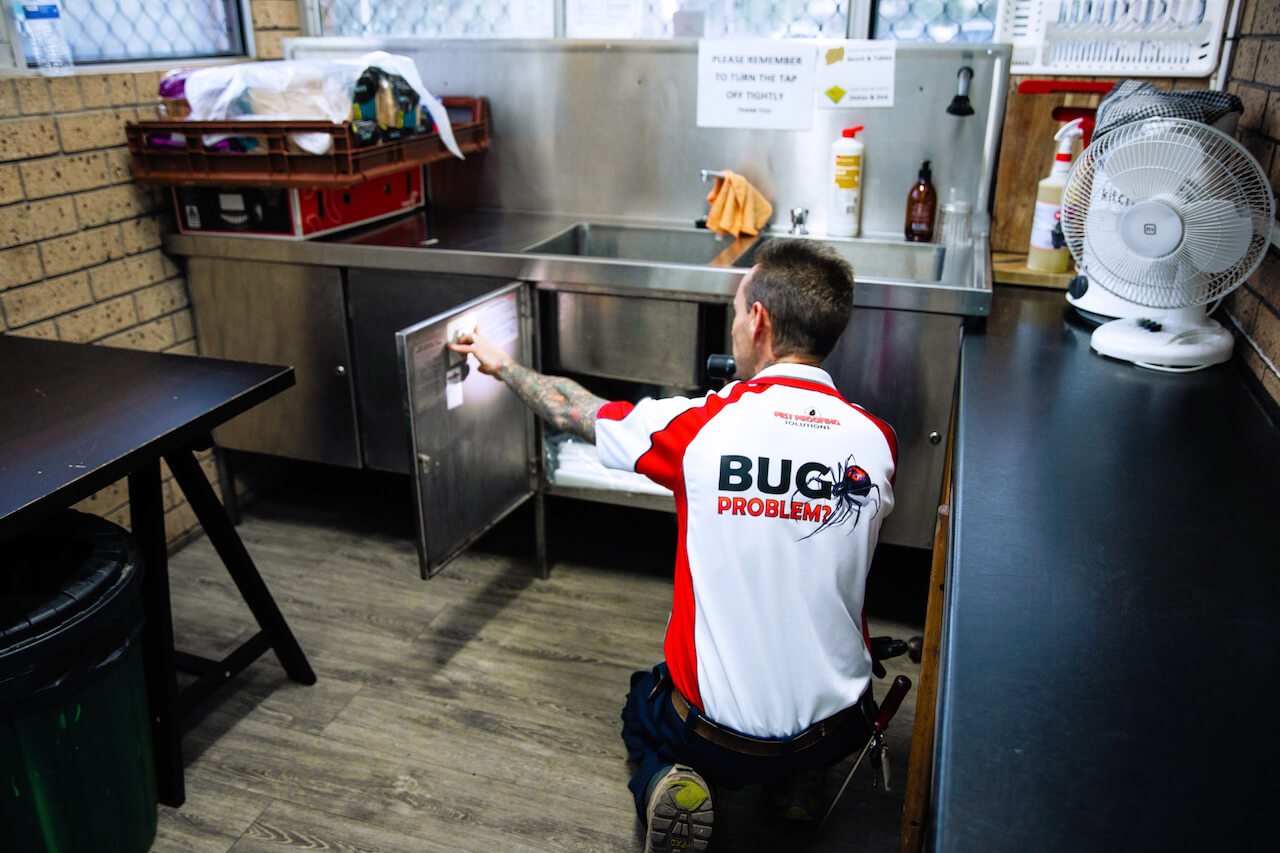 Checking commercial kitchen cupboards as part of Pest Proofing Solutions termite inspection services | Feature image for the Brisbane Termite Inspection Services page from Pest Proofing Solutions.