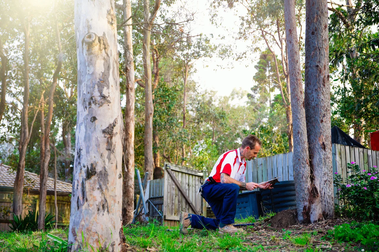 Josh inspecting for termites
